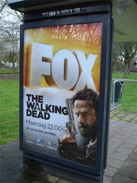 Fox - 2015