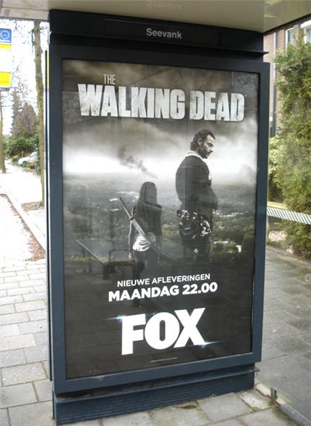 Fox - 2016