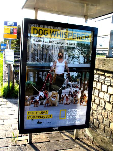 National Geographic - 2010