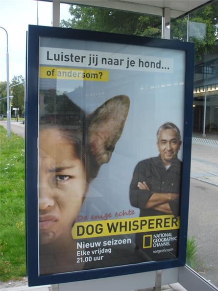 National Geographic - 2011