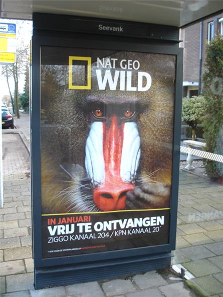 National Geographic - 2015
