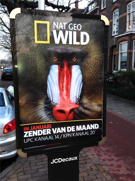 National Geographic - 2015