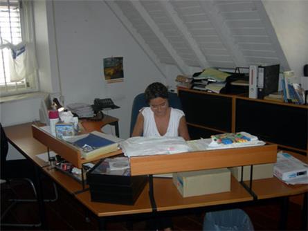Sales en directie