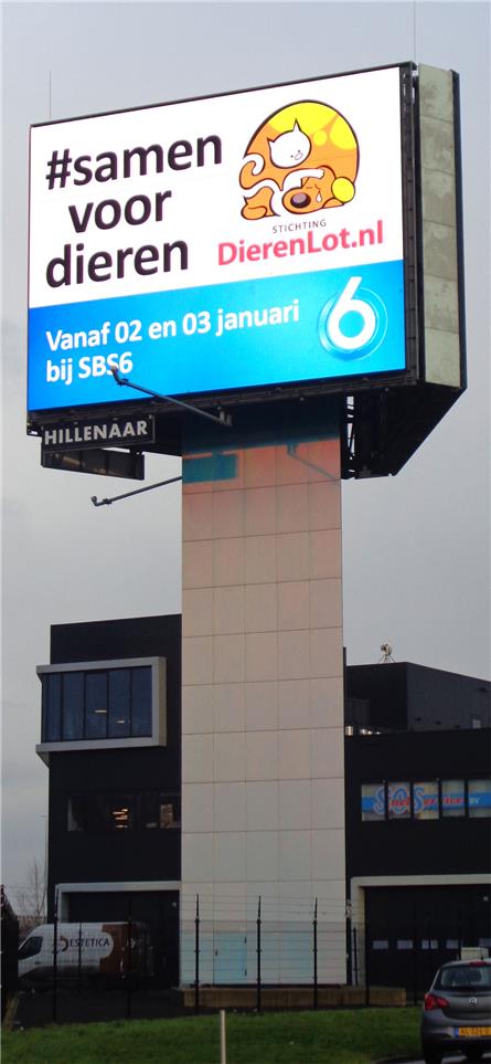 SBS6 - 2020