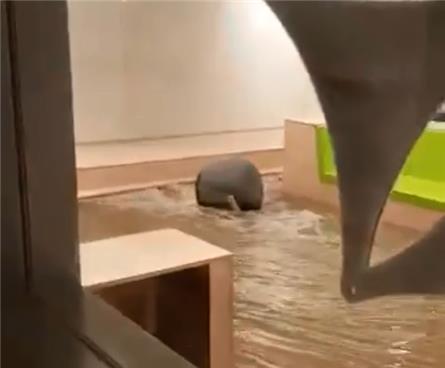 Veel wateroverlast op Media Park in Hilversum