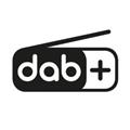 Bijna complete top 10 best verkochte auto’s heeft standaard DAB+