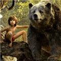 Filmposter Award 2016 voor ‘The jungle book’