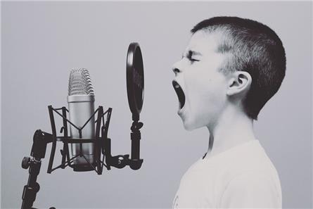 Lidl radioadverteerder van het jaar