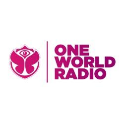 Vlaanderen: Tomorrowland One World Radio terug op DAB+