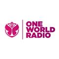 Vlaanderen: Tomorrowland One World Radio terug op DAB+